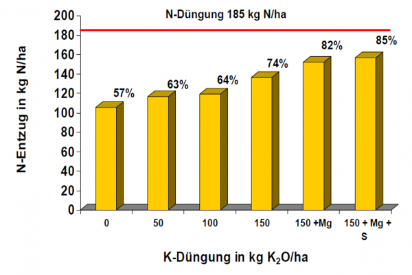 k-n.png