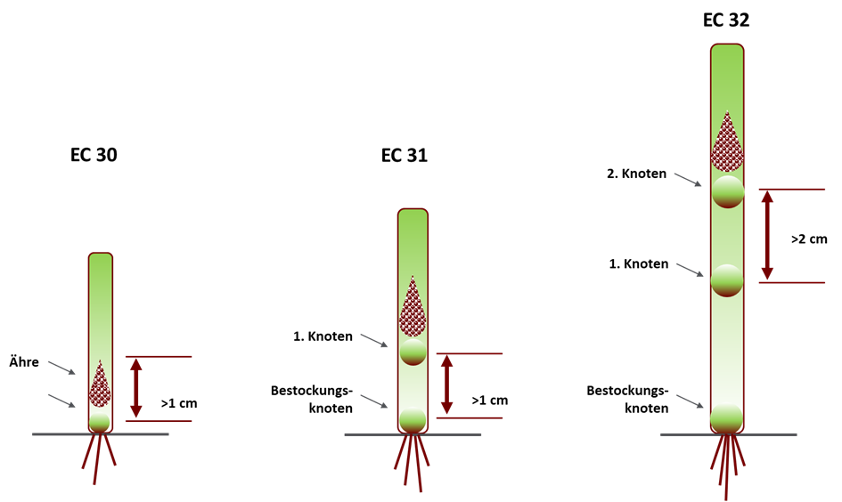 image-20260310-123324.png