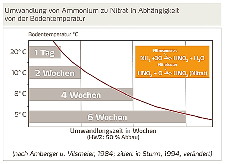 image-20260306-093506.png