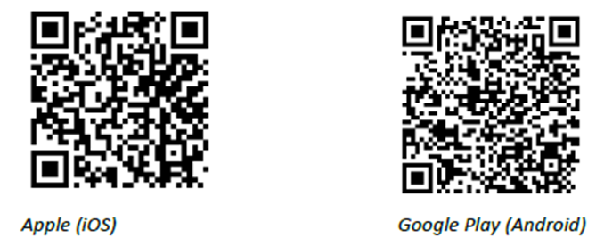 image-20260310-062551.png